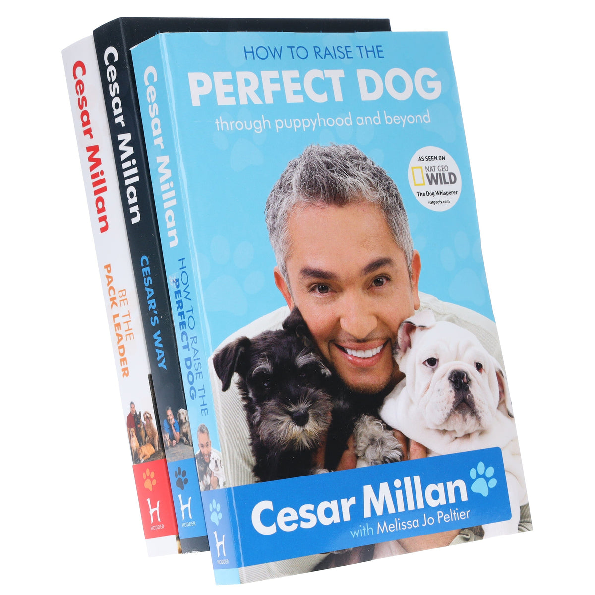 The Dog Whisperer Cesar Millan Books Books2Door