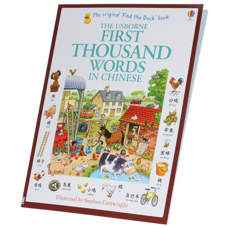 Usborne First Thousand Words In Chinese: Illustrated Children Book By Heather Amery - Ages 5+ - Paperback 5-7 Usborne Publishing Ltd