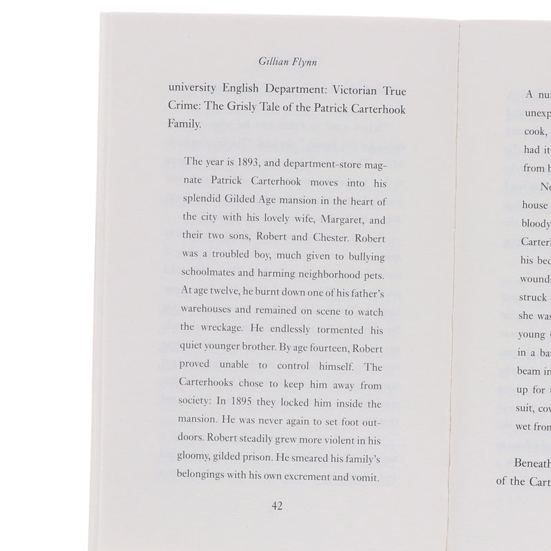 Gillian Flynn 4 Books Collection Set - Fiction - Paperback Fiction Hachette UK