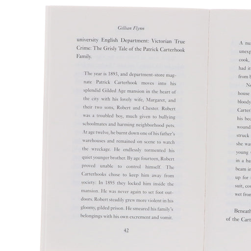 Gillian Flynn 4 Books Collection Set - Fiction - Paperback Fiction Hachette UK