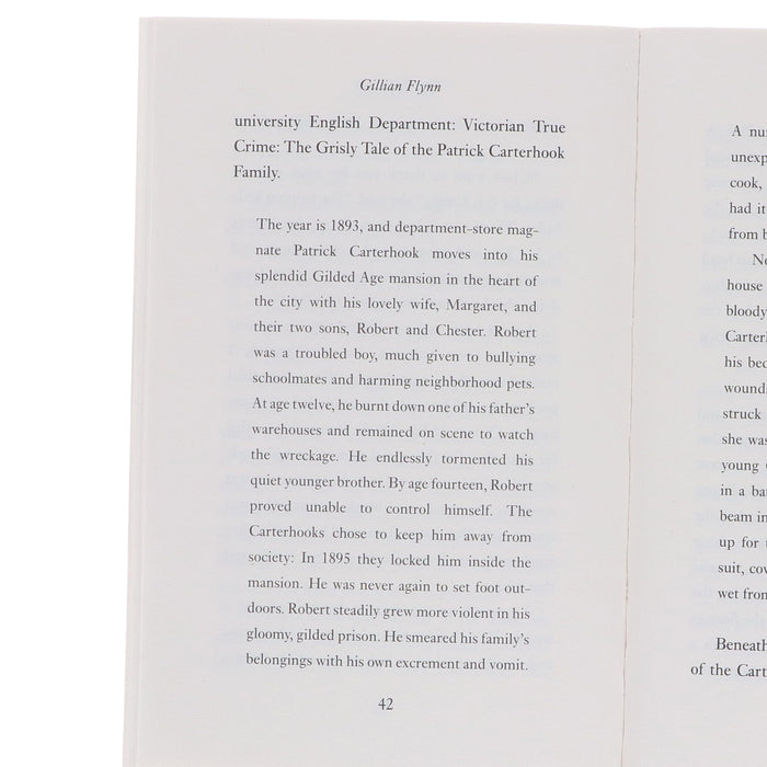 Gillian Flynn 4 Books Collection Set - Fiction - Paperback Fiction Hachette UK