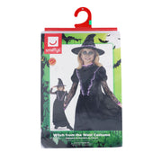 Smiffys Witch from the West Costume with Dress and Hat Kid’s Black Gothic Witch Fancy Dress Outfit 3-5 Smiffys