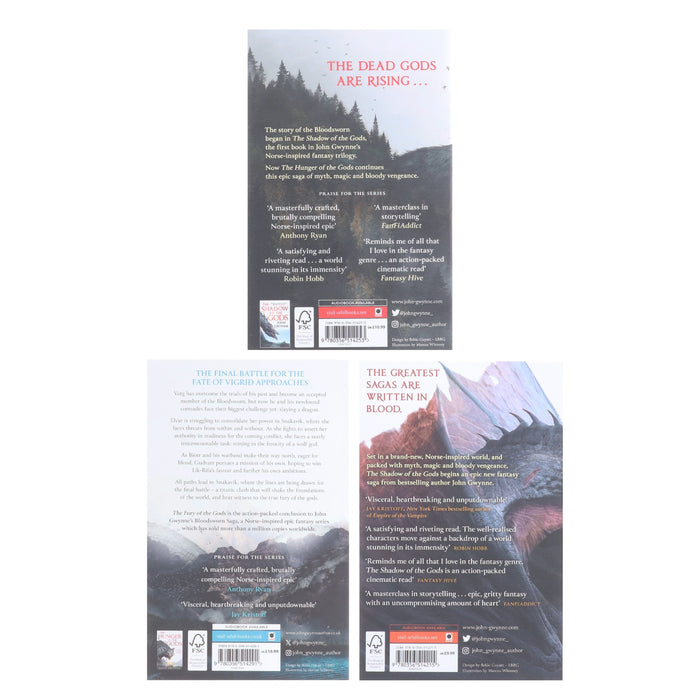 The Bloodsworn Trilogy by John Gwynne 3 Books Collection Set - Fiction - Paperback Fiction Hachette