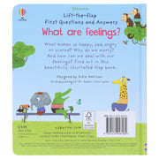 What are Feelings? (Usborne: Lift-the-Flap First Questions & Answers) - Ages 4+ - Board Book 3-5 Usborne Publishing Ltd