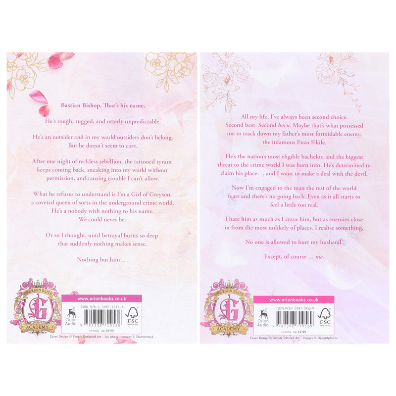 Girls of Greyson Series (Tempting Little Thief & Bad Little Bride) by Meagan Brandy 2 Books Collection Set - Fiction - Paperback Fiction Hachette