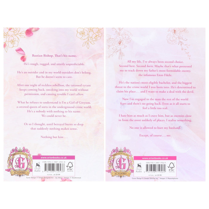 Girls of Greyson Series (Tempting Little Thief & Bad Little Bride) by Meagan Brandy 2 Books Collection Set - Fiction - Paperback Fiction Hachette