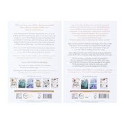 The Stolen Heir Duology: The Folk of the Air Spin-off By Holly Black 2 Books Collection Box Set - Ages 13+ - Paperback Fiction Bonnier Books Ltd