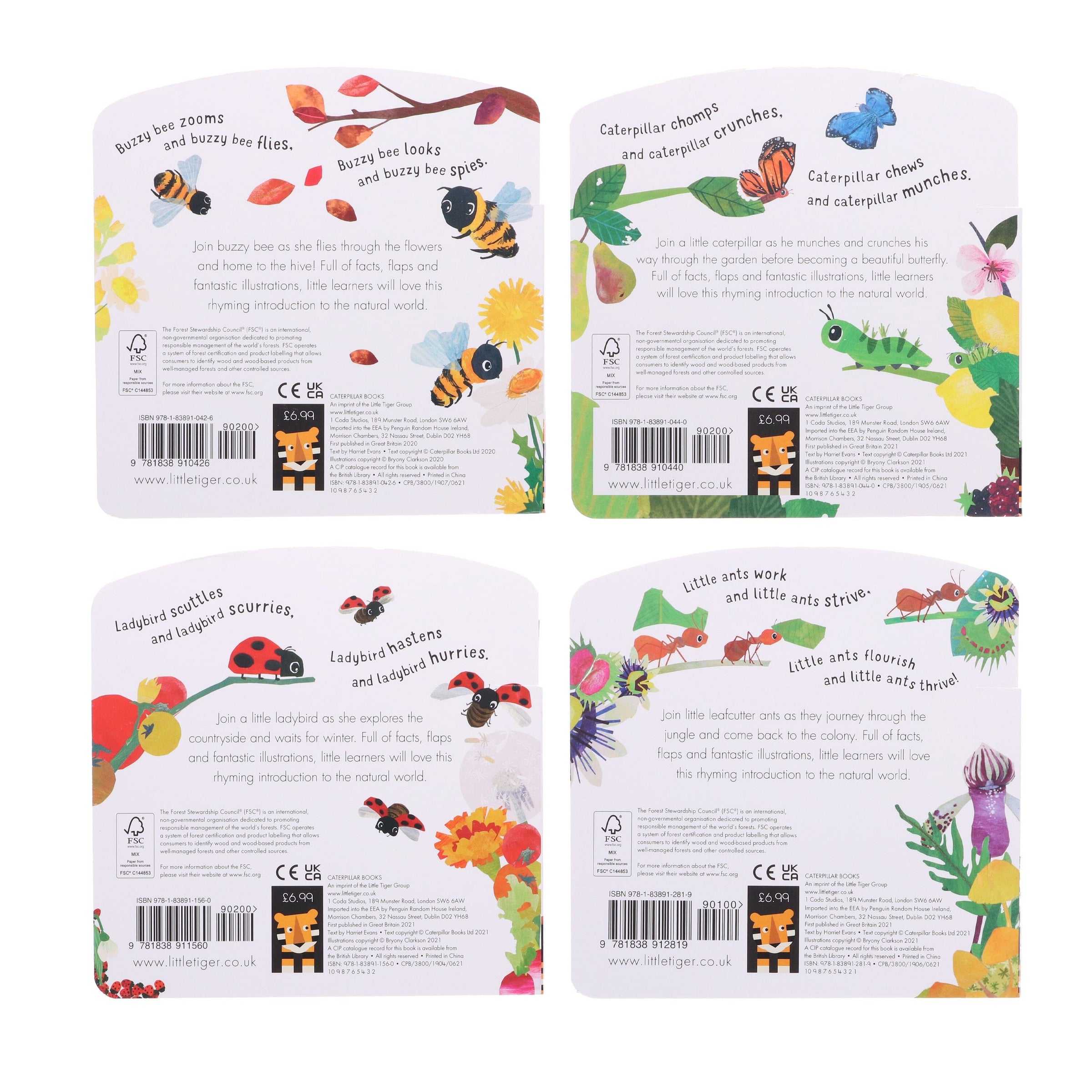 First Nature 4 Books Childrens Collection Set — Books2Door