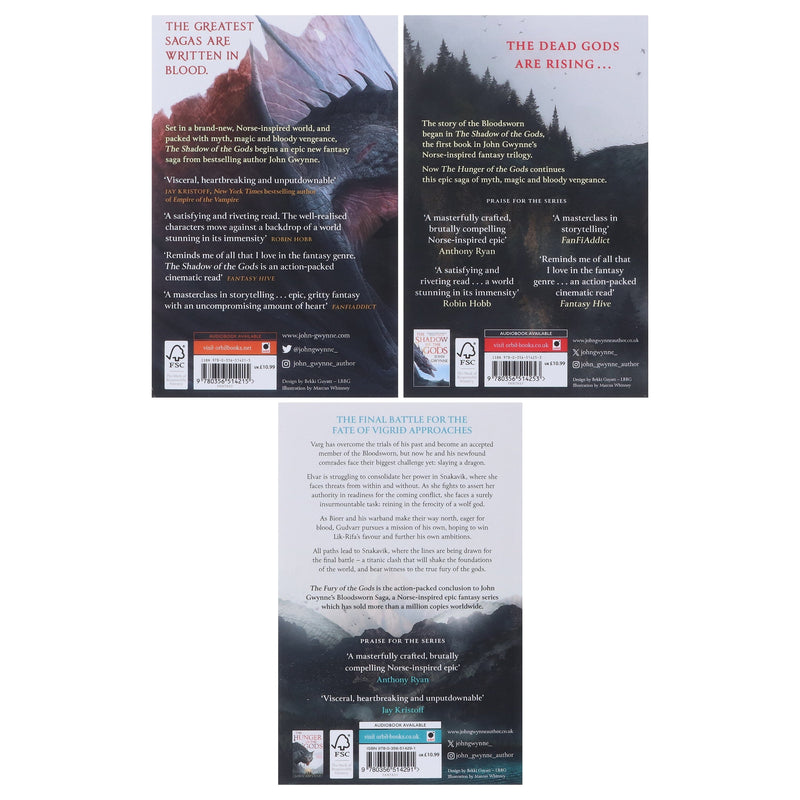 The Bloodsworn Saga Trilogy by John Gwynne 3 Books Collection Box Set - Fiction - Paperback Fiction Hachette