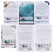 The Folk of the Air & The Stolen Heir Series by Holly Black 6 Books Collection Set - Ages 14+ - Paperback Young Adult Bonnier Books Ltd