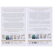 The Stolen Heir Series By Holly Black 2 Books Collection Set - Ages 13+ - Paperback Fiction Bonnier Books Ltd