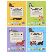 DOGS: Heroic Companion Dogs Series by Annabel Griffin Illustrated 4 Books Collection Set - Ages 6+ - Paperback 5-7 Hungry Tomato Ltd