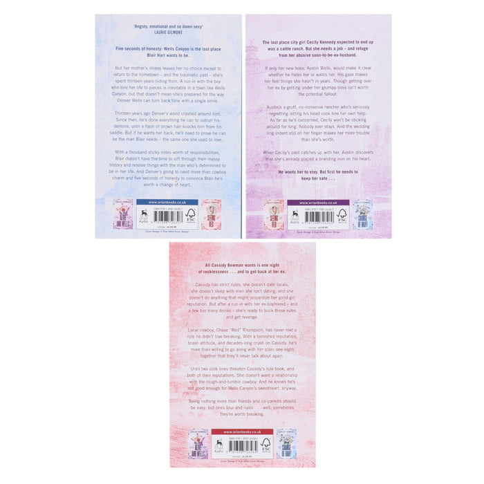 Wells Ranch Series by Bailey Hannah 3 Books Collection Set - Fiction - Paperback Fiction Hachette