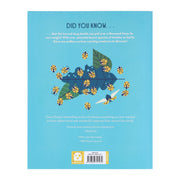 Bonkers About Beetles by Owen Davey (About Animals Series) - Ages 7+ - Paperback 7-9 Flying Eye Books