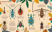 Bonkers About Beetles by Owen Davey (About Animals Series) - Ages 7+ - Paperback 7-9 Flying Eye Books