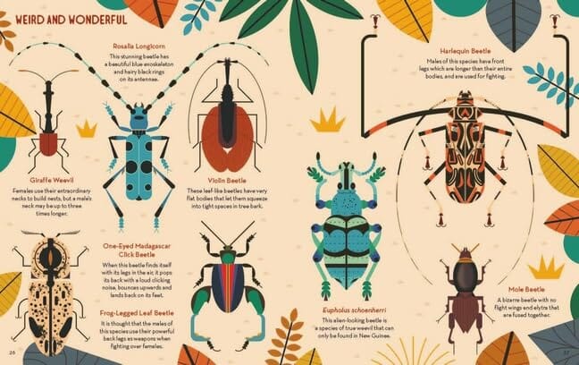 Bonkers About Beetles by Owen Davey (About Animals Series) - Ages 7+ - Paperback 7-9 Flying Eye Books
