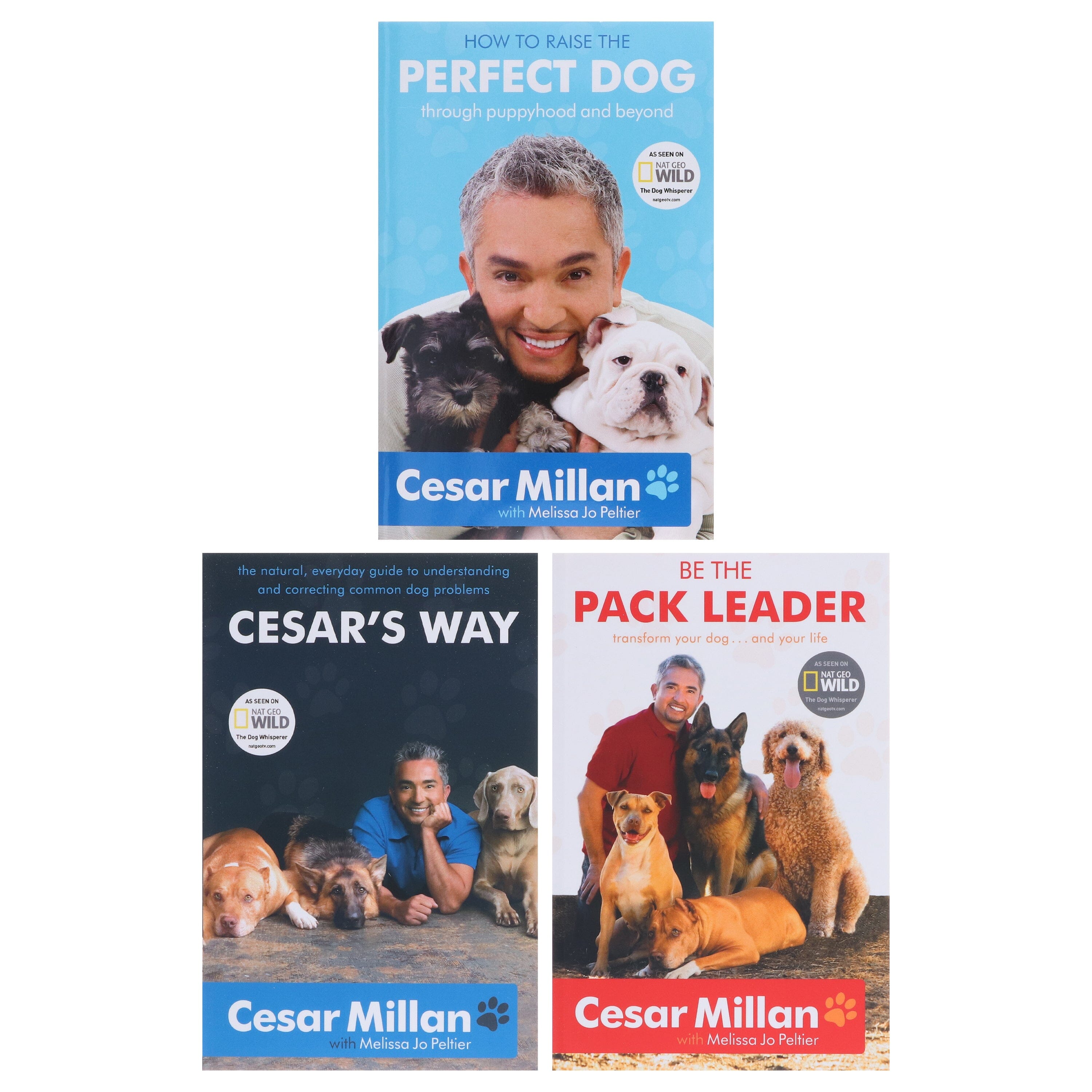 The Dog Whisperer Cesar Millan Books Books2Door