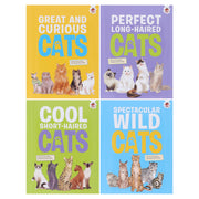 Cats Series by Eliza Jeffery Illustrated 4 Books Collection Set - Ages 4+ - Paperback 3-5 Hungry Tomato Ltd