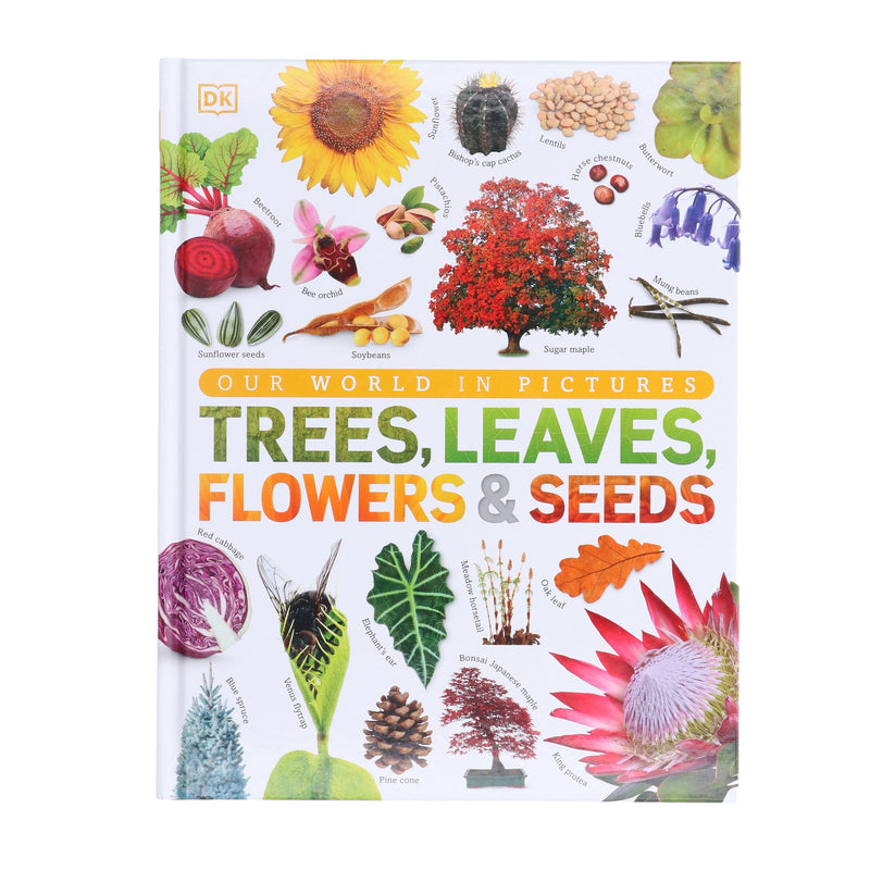 Our World in Pictures: Trees, Leaves, Flowers & Seeds: A visual encyclopedia of the plant kingdom by DK - Non Fiction - Hardback 9-14 DK Children