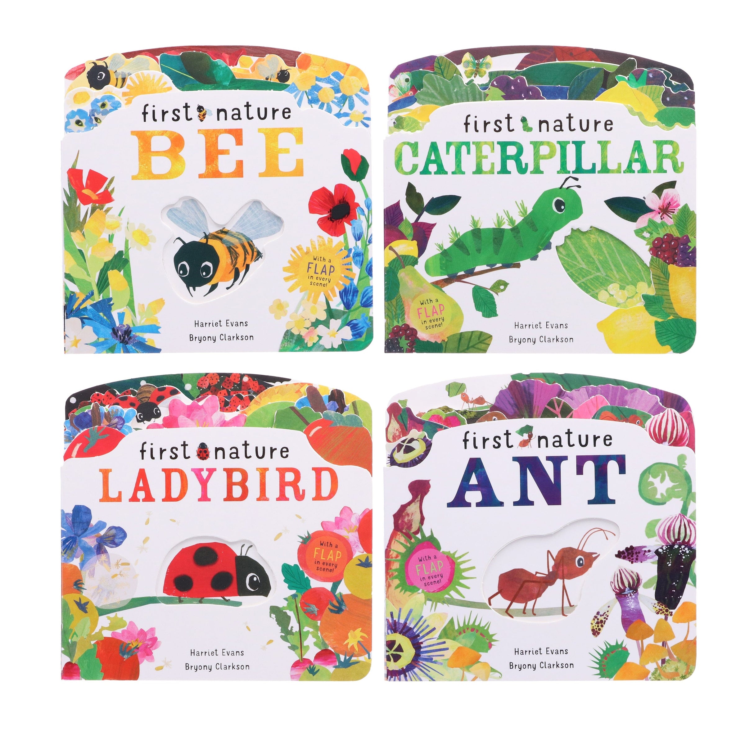 First Nature 4 Books Childrens Collection Set — Books2Door