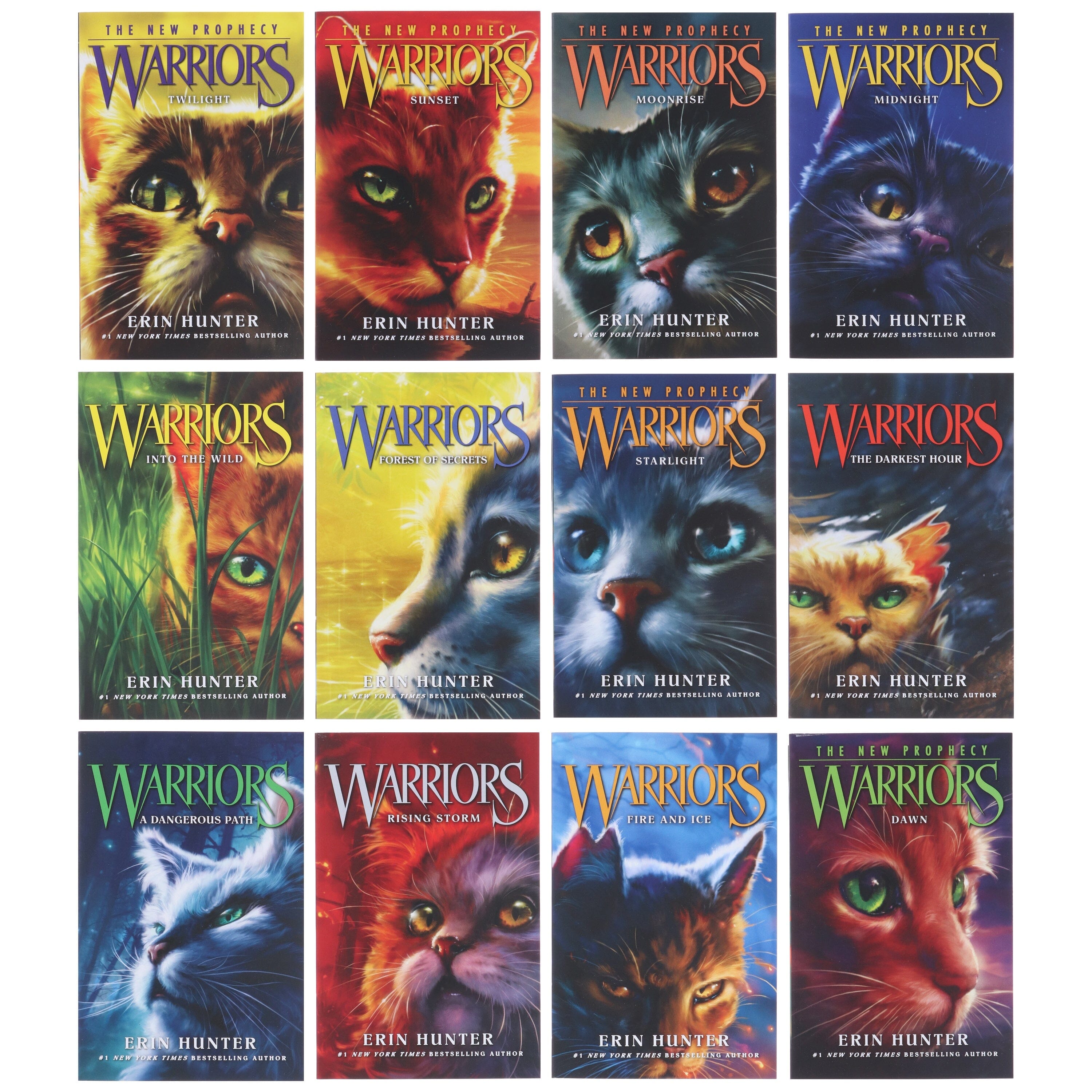 Warrior Cats Series 1 and 2 By Erin Hunter — Books2Door