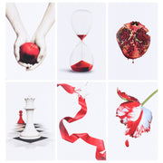 The Twilight Saga By Stephenie Meyer: 6 Books Collection Box Set - Ages 13+ - Paperback B2D DEALS Hachette