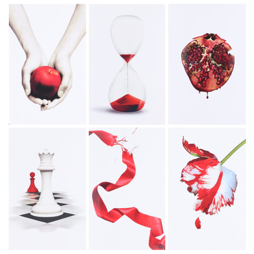The Twilight Saga By Stephenie Meyer: 6 Books Collection Box Set - Ages 13+ - Paperback B2D DEALS Hachette