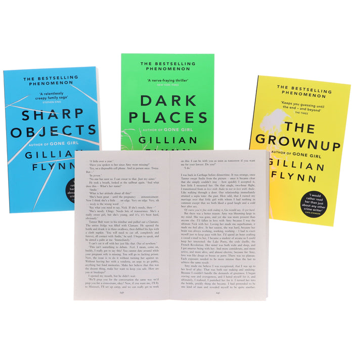 Gillian Flynn 4 Books Collection Set - Fiction - Paperback Fiction Hachette UK