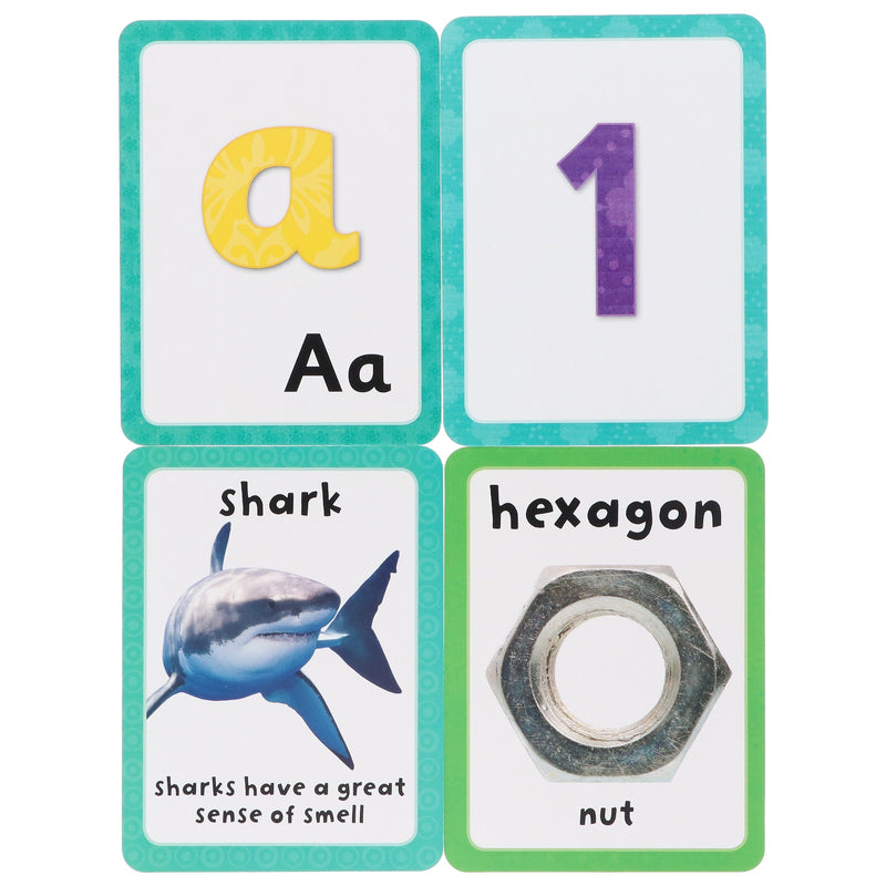 Flashcards Tray: Four Sets of 27 Double-Sided Flashcards (Get Set Go) - Ages 3+ - Cards 3-5 Miles Kelly Publishing Ltd