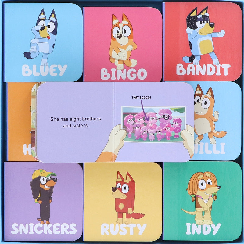 Bluey: Big Box of Little Books 9 Mini Books Box Set - Ages 3+ - Board Book 3-5 Penguin Random House