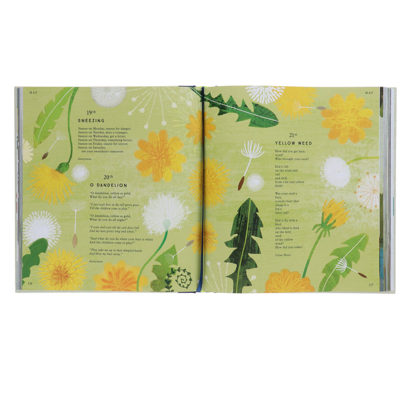 I Am the Seed That Grew the Tree by Fiona Waters (National Trust) - Ages 2+ - Hardback 5-7 Nosy Crow Ltd