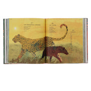 Tiger, Tiger, Burning Bright! Selected by Fiona Waters (National Trust)- Ages 4-11 - Hardback 5-7 Nosy Crow Ltd