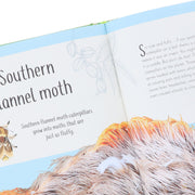 An Anthology of Remarkable Bugs: Discover the Hidden Wonders of the Insect World (DK Children's Anthologies) by Jess French - Ages 7+ - Hardback 7-9 DK Children