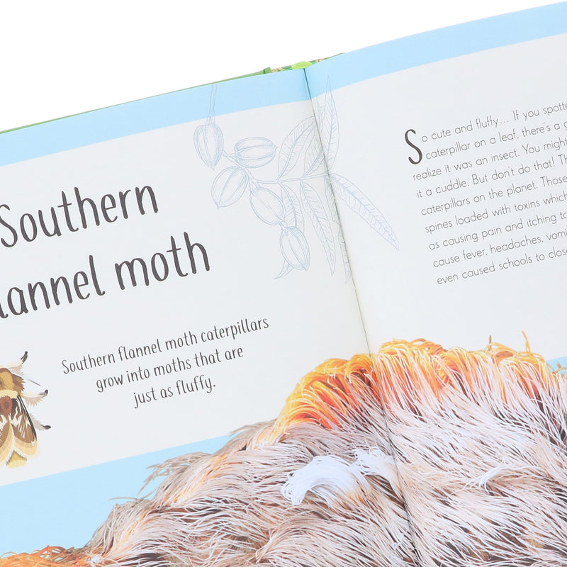 An Anthology of Remarkable Bugs: Discover the Hidden Wonders of the Insect World (DK Children's Anthologies) by Jess French - Ages 7+ - Hardback 7-9 DK Children