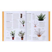 RHS Pruning and Training (New Edition): What, When, and How to Prune - Non Fiction - Hardback Non-Fiction DK
