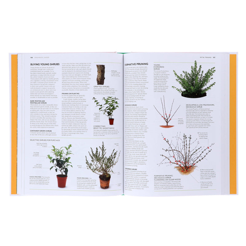 RHS Pruning and Training (New Edition): What, When, and How to Prune - Non Fiction - Hardback Non-Fiction DK