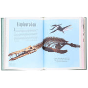 Dinosaurs and Other Prehistoric Life (DK Children's Anthologies) by Prof Anusuya Chinsamy-Turan - Ages 6+ - Hardback 5-7 DK Children