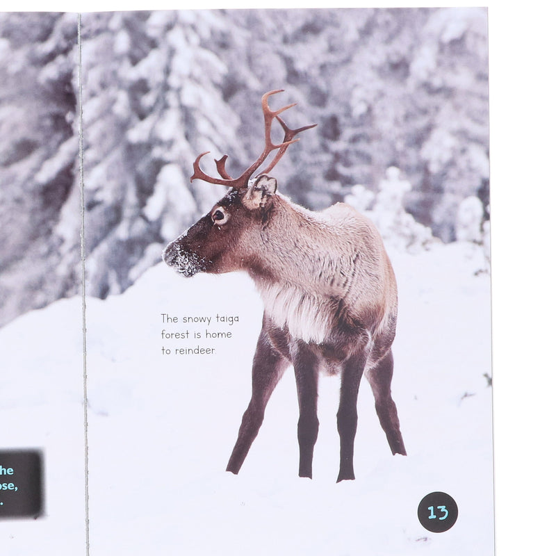 Introduction to Nature and Geography by Jasmine Brooke 20 Book Collection Box Set - Ages 7+ - Paperback 7-9 Fox Eye Publishing