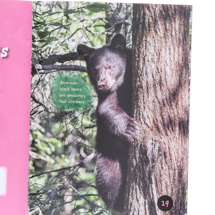 Introduction to Nature and Geography by Jasmine Brooke 20 Book Collection Box Set - Ages 7+ - Paperback 7-9 Fox Eye Publishing