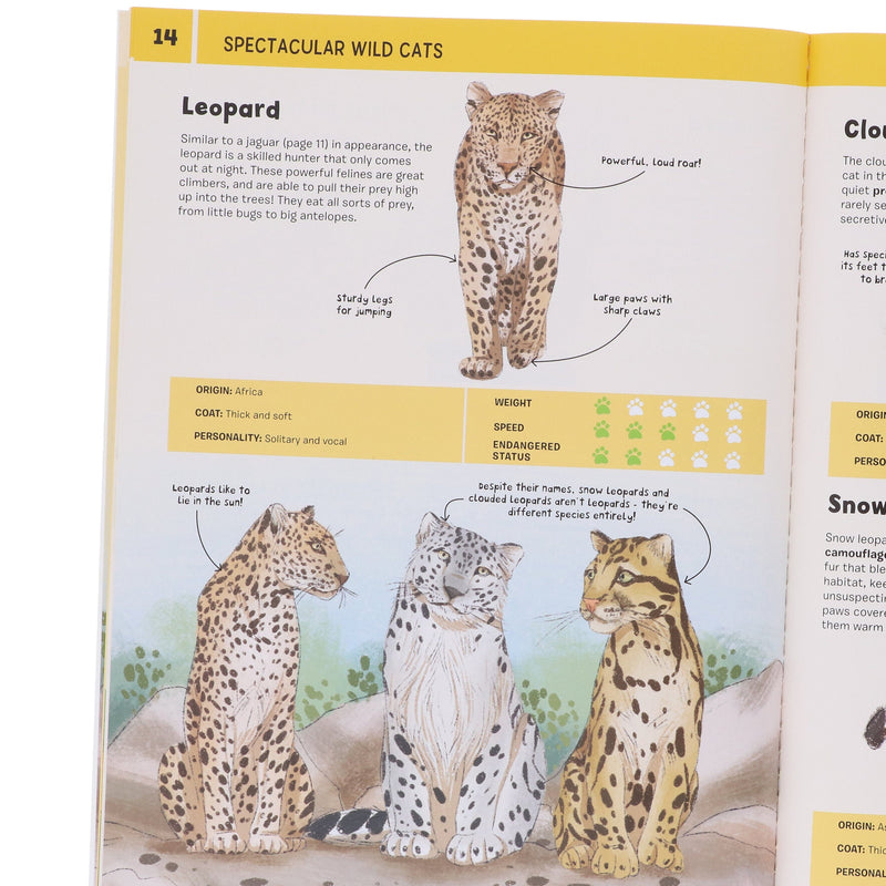 Cats Series by Eliza Jeffery Illustrated 4 Books Collection Set - Ages 4+ - Paperback 3-5 Hungry Tomato Ltd