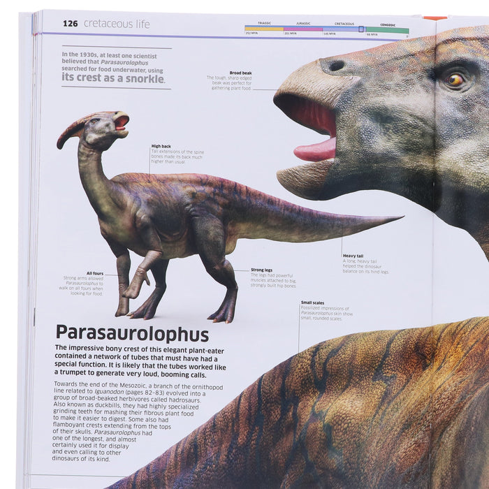 Knowledge Encyclopedia Dinosaur! Over 60 Prehistoric Creatures as You've Never Seen Them Before: By John Woodward - Ages 9+ - Hardback 9-14 DK