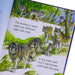 Usborne Beginners Animals Series 10 Books Collection Box Set - Ages 4+ - Hardback 5-7 Usborne Publishing Ltd