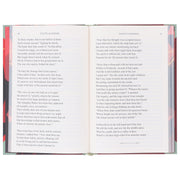 Dante's Inferno by Dante Alighieri - Fiction - Sprayed Edges Hardback Fiction Wilco Books