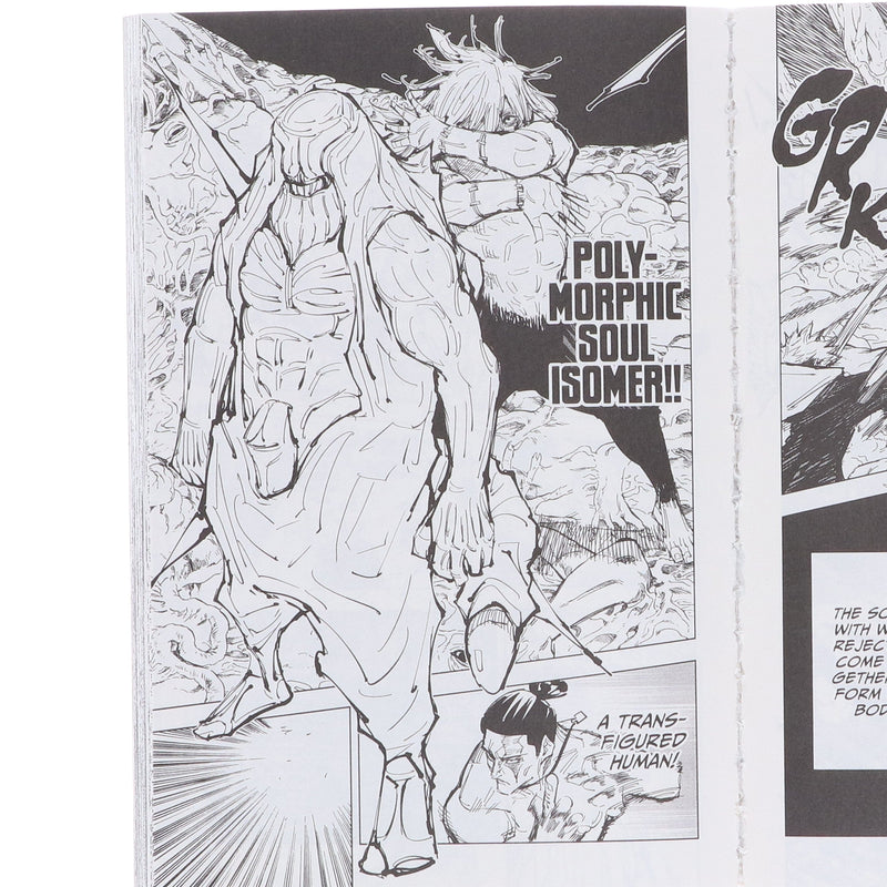 Jujutsu Kaisen Series (Book 11-20) By Gege Akutami 10 Books Collection Manga Set - Ages 16+ - Paperback Graphic Novels Viz Media, Subs. of Shogakukan Inc