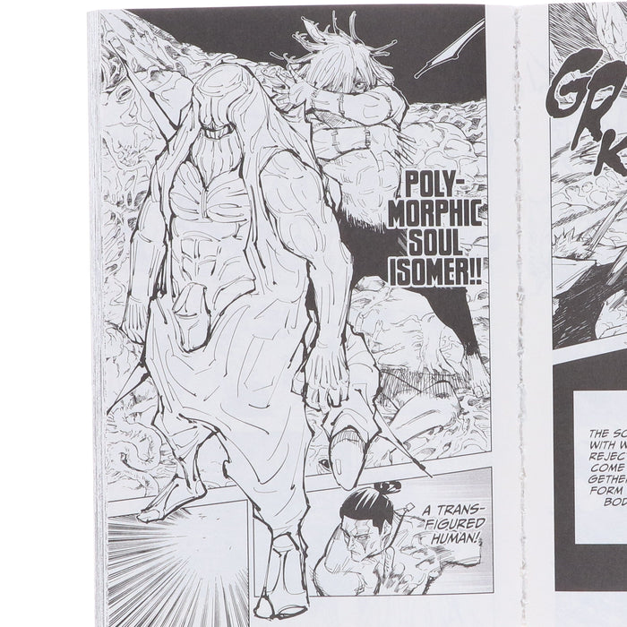 Jujutsu Kaisen Series (Book 11-20) By Gege Akutami 10 Books Collection Manga Set - Ages 16+ - Paperback Graphic Novels Viz Media, Subs. of Shogakukan Inc