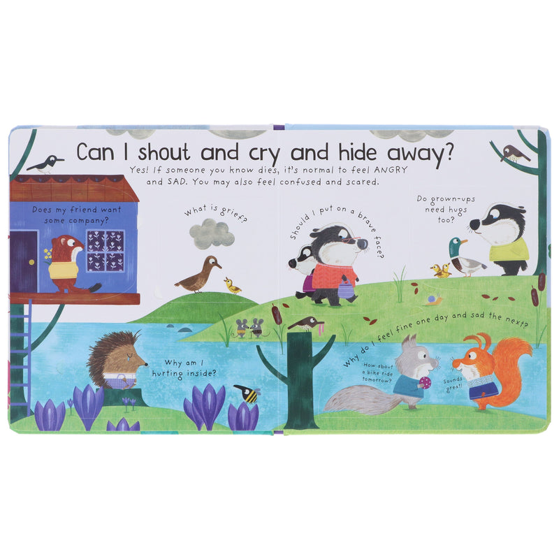Why Do Things Die? (Usborne: Lift the Flap First Questions & Answers) - Ages 4+ - Board Book 3-5 Usborne Publishing Ltd