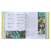 Allotment Month By Month: Grow your Own Fruit and Vegetables: Know What to do When by Alan Buckingham - Non Fiction - Hardback Non-Fiction DK