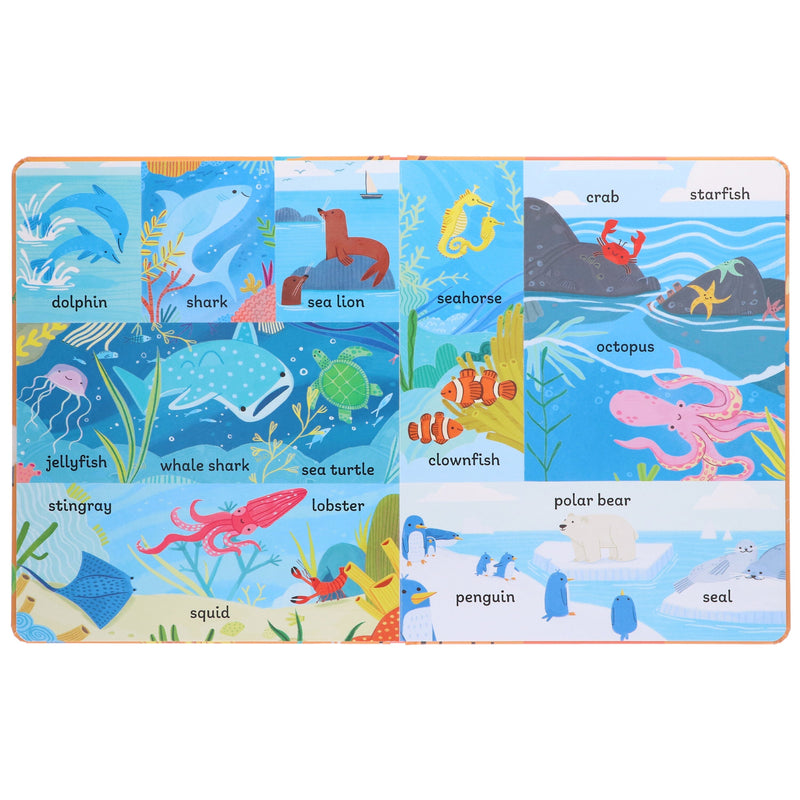 100 First Facts: Words, Animals & Planet 3 Picture books Children's collection set By Sweet Cherry Publishing - Ages 3-5 - Board Book 3-5 Sweet Cherry Publishing