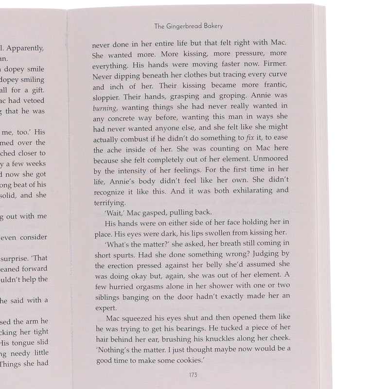 Dream Harbor Series By Laurie Gilmore 5 Books Collection Set - Fiction - Paperback Fiction HarperCollins Publishers