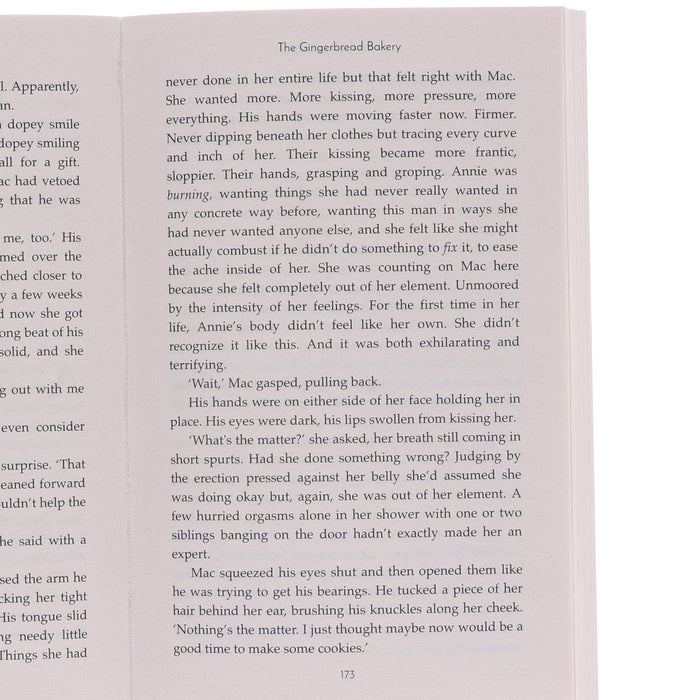 Dream Harbor Series By Laurie Gilmore 5 Books Collection Set - Fiction - Paperback Fiction HarperCollins Publishers